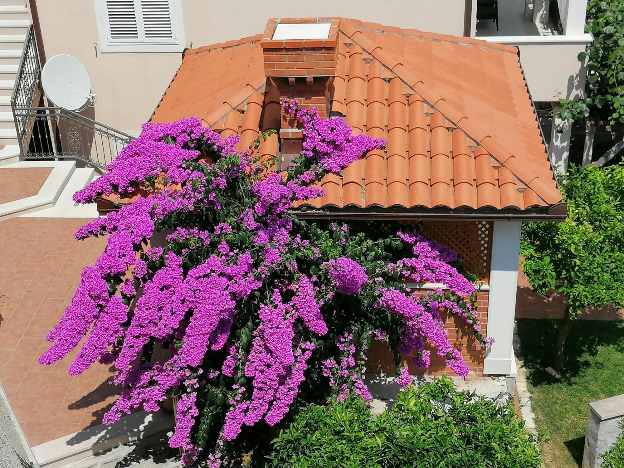 Green Park Apartments 2 Ντουμπρόβνικ Εξωτερικό φωτογραφία